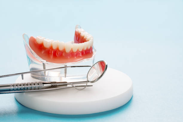  Westvale, NY Holistic Dental Care Services Pros